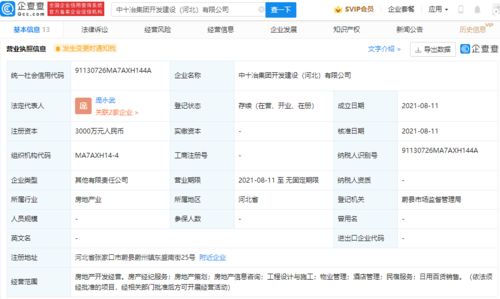中國(guó)黃金集團(tuán)關(guān)聯(lián)公司參股成立新公司，業(yè)務(wù)拓展至房地產(chǎn)開(kāi)發(fā)與咨詢
